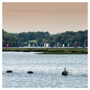 - La semaine du Golfe - PLOUGOUMELEN le 26.05.2017